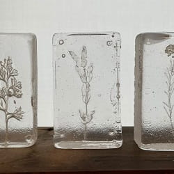 glass+